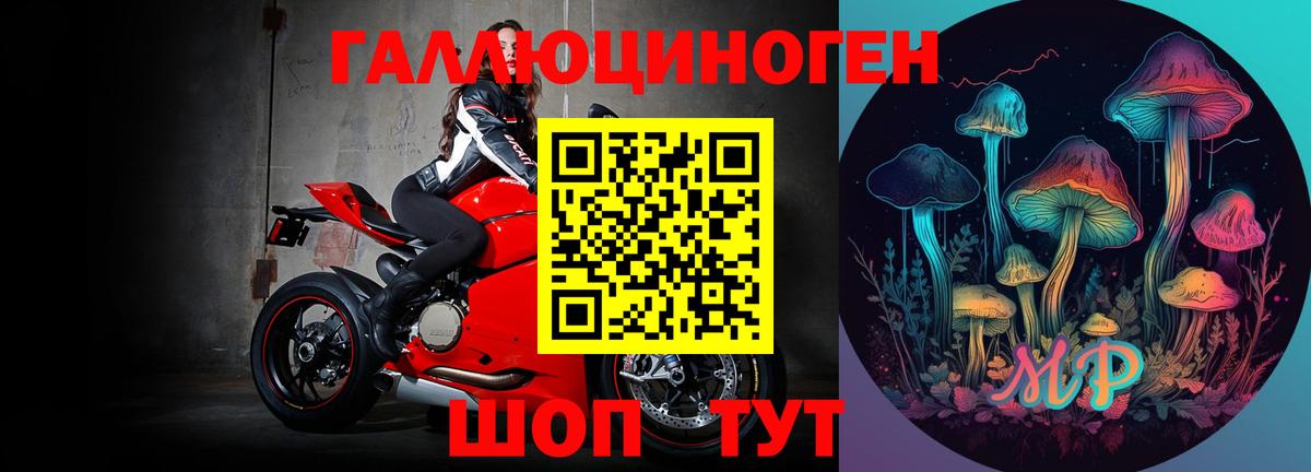 Бирск  Псилоцибиновые грибы мухоморы  Вход с VPN  Псилоцибиновые грибы Psilocybe 